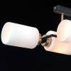 Потолочный светильник Illumico IL0809-4ASQ-25 BK AB NAPLES фото 2