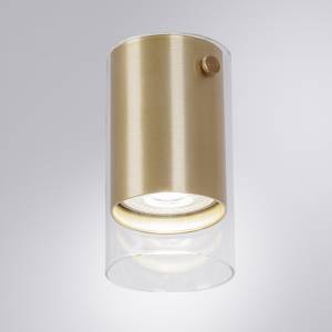 Точечный накладной светильник Arte Lamp Lazio A5365PL-1SG