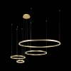 Подвесной светодиодный светильник Loft IT Ring 10017/4M фото 2
