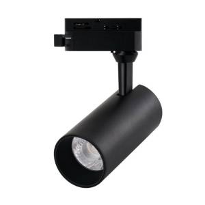 Светильник Arte Lamp REGULUS A4568PL-1BK
