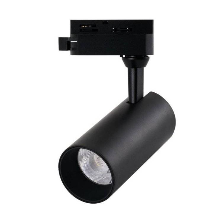 Светильник Arte Lamp REGULUS A4568PL-1BK