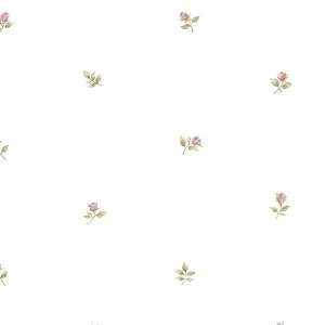 Обои бумажные Aura Rose Garden CG28872