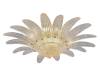 Потолочный светильник Newport 8800 8809/PL gold