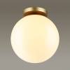 Настенно-потолочный светильник Odeon Light Hightech Bosco 4248/1C фото 2