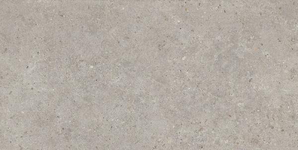 Керамогранит Kerama Marazzi Риккарди SG519920R серый светлый матовый обрезной 60x119.5