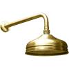 Верхний душ Webert Karenina AC0014065 бронзовый