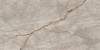 Керамогранит Atlas Concorde Russia Empire 610010002187 Silver Root / Сильвер Рут 120x60 фото 4