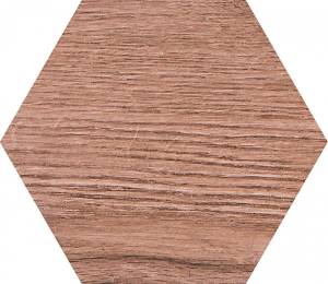 Керамогранит Pamesa Cromat Rovere 015.292.0109.09741 Brown Hex 19.8x22.8