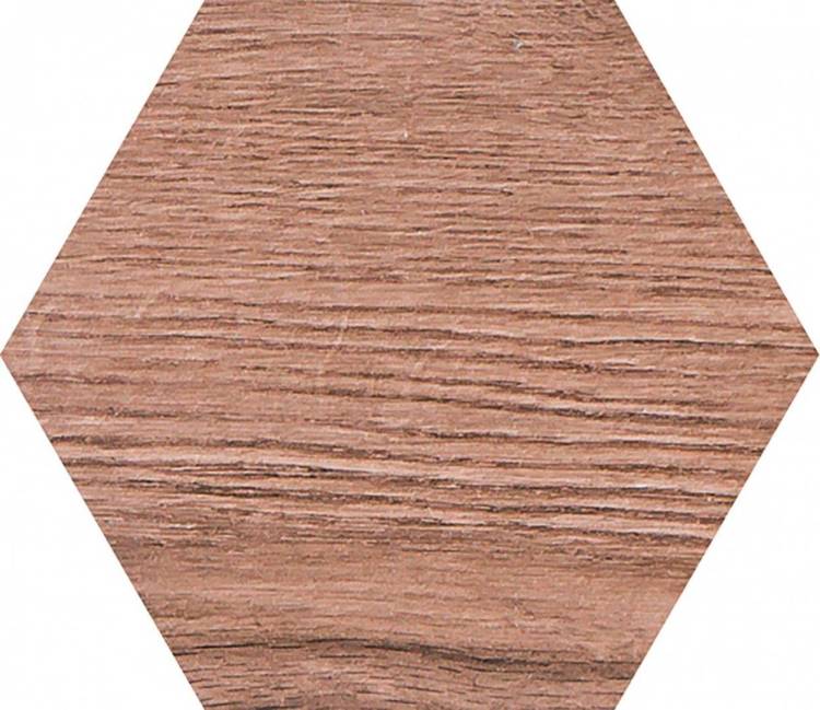 Керамогранит Pamesa Cromat Rovere 015.292.0109.09741 Brown Hex 19.8x22.8