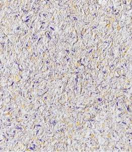 Жидкие обои Касавага Букле База 651