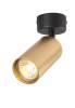 Потолочный светильник Crystal Lux Clt 015Cw1R Bl-Go фото 3