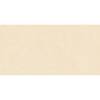 Керамогранит Basconi Home Cateye BHW-0004 Beige Grains Soft-Polished Mould 60x120