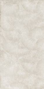 Керамогранит La Fenice Natural Resine 12RESVEPLA Decoro Ventaglio Platino 60x120
