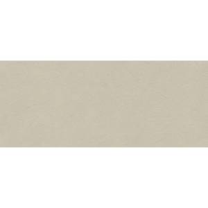 Керамическая плитка Atlas Concorde Boost Natural Pro AQ7C 3D Craft Cinder Matt Ret 50x120