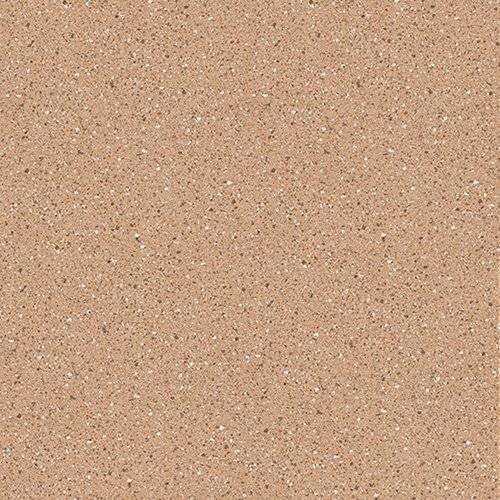 Линолеум Profi Strong Plus Patio 309M (рулон: 2x27=54 м2)