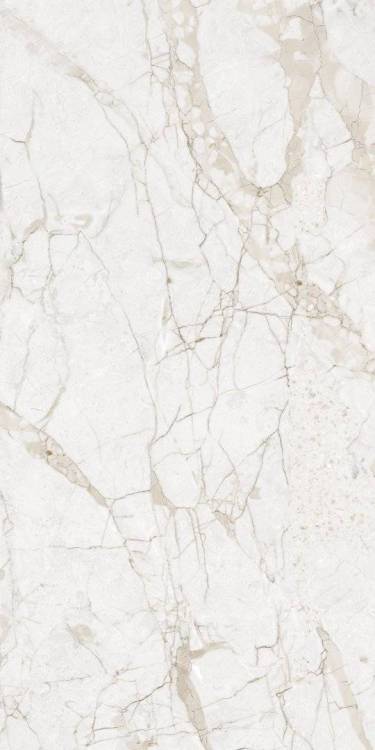Керамогранит NT Ceramic Marmo NTT99519M Impero Grey Carving 60x120