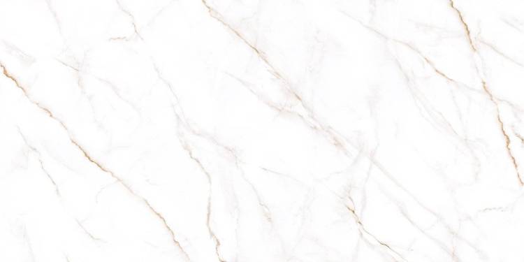Керамогранит Alma Ceramica Neo Calacatta GFU60120NCL04R 60x120