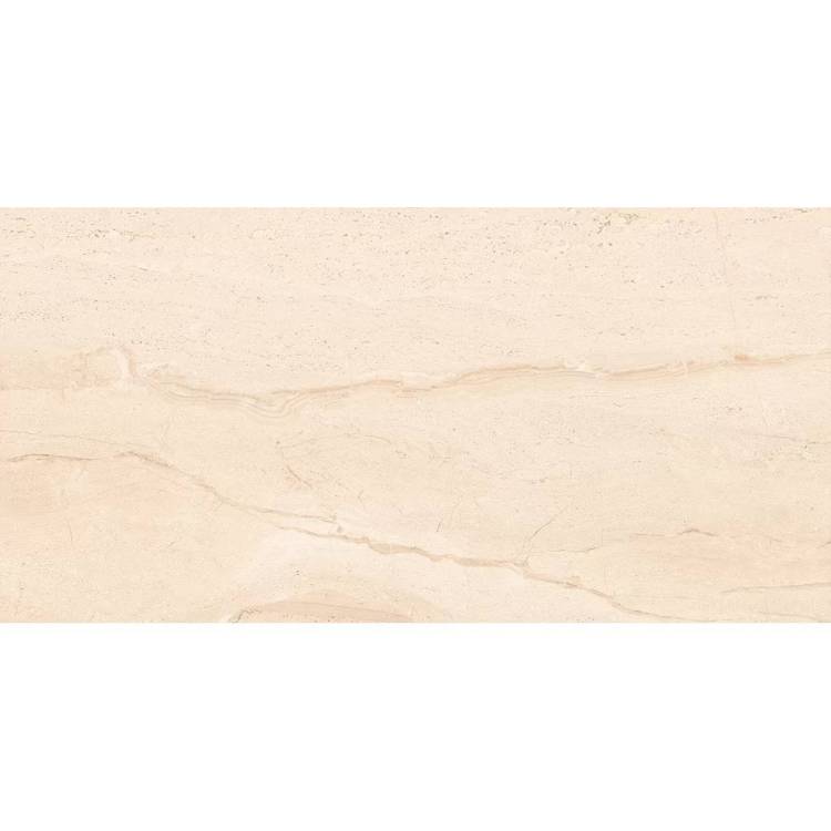 Керамогранит Absolut Gres Diana AB 1083M Silver Matt 60x120