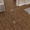 SPC Плитка Alpine Floor Parquet Sirocco 6/43 4V ECO 25-3 Елисейские поля 595x595 фото 4