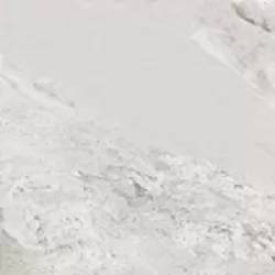 Керамогранит Absolut Gres Phantom Bianco AB 1119G gloss 600x600