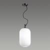 Подвесной светильник Odeon Light Pendant Roofi 4751/1 фото 2