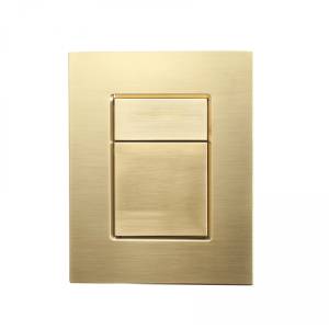 Кнопка смыва Wonzon & Woghand WW-IB256-BG пневматическая, брашированное золото