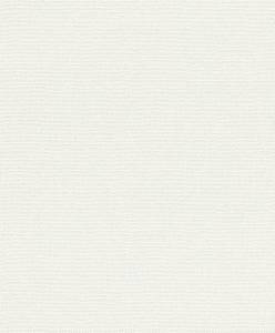 Обои флизелиновые Rasch Color Your Life 312102
