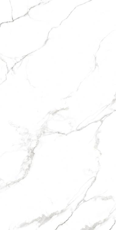 Керамогранит Arcadia Ceramica Statuario FP1039-A Fine 60x120