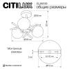 Люстра на штанге Citilux Ronny CL242133 фото 8