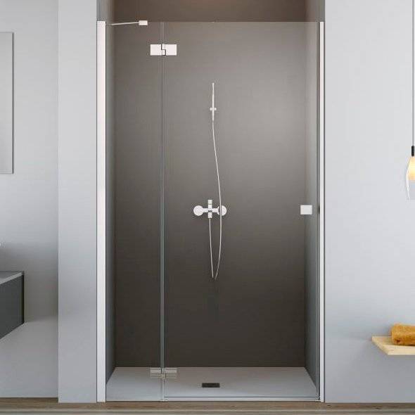 Душевая дверь в нишу Radaway Essenza New DWJ 90 L