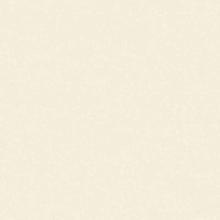 Обои Euro Decor Idols 7341-02