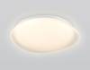 Потолочный светодиодный светильник Ambrella light Orbital FZ1610 фото 10
