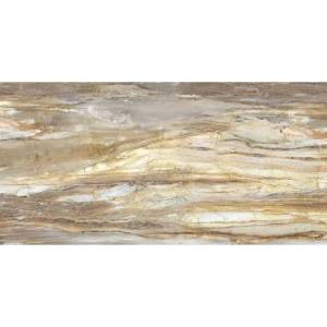 Керамогранит Roca Fossil FBS01MQ041 LM MC R E 100x200