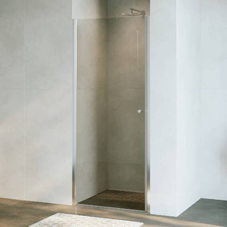 Душевая дверь RGW Dolphin TN-03 54930309-101 90 см профиль Хром