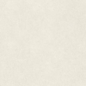 Обои Rasch Wall Textures Xl III 957327