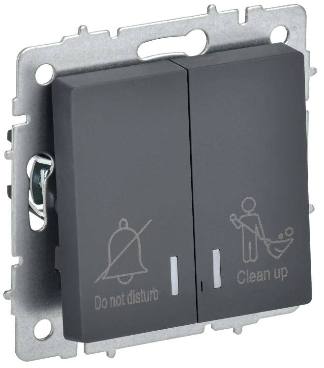 Выключатель 2-клавишный IEK Brite BR-V20-2-10-K53 графит