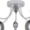 Потолочная люстра Illumico IL8258-5COU-79 WH CR фото 2