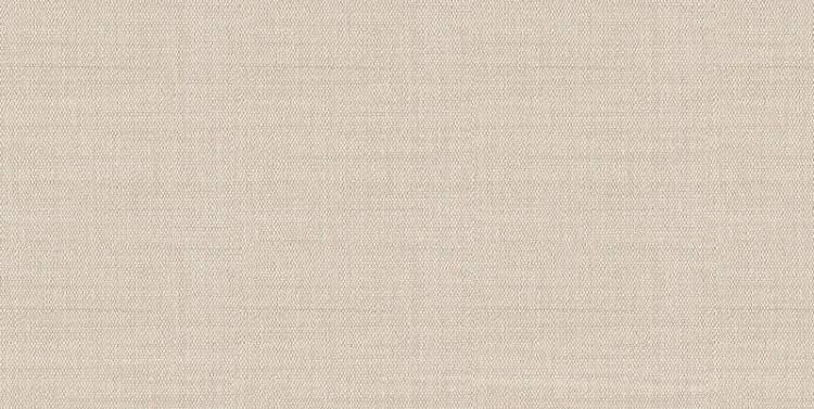 Керамическая плитка Alma Ceramica Asteria TWU09ATR044 24.9x50