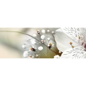 Декор Keros Ceramica Dance Dec Calido B 25x70