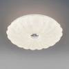 Настенно-потолочный светодиодный светильник Lightstar Arco Shell 225640 фото 3