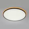 Светильник с пультом Citilux Norma CL749601 LED RGB фото 7