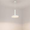 Подвесной светильник Arlight Eric 035928 фото 6
