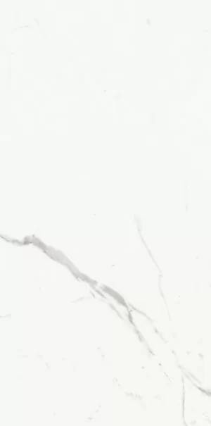 Керамогранит Ariostea Marmi Classici P612516R10 Statuario Classico Naturale 60х120