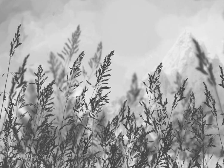 Бесшовные Eco обои Ortograf Vento 34993 Дуновение Гладь ОЕ-Р2