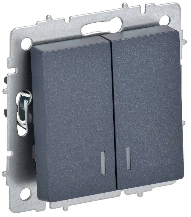 Выключатель 2-клавишный IEK Brite BR-V20-2-10-K35 маренго