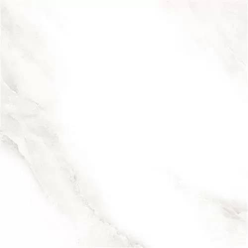 Керамогранит Sina Tile Shine 2573 Grey Polished 60x60