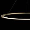 Подвесной светодиодный светильник Loft IT Ring 10014XXL фото 2