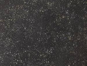 Обои Elysium Майя Е106608