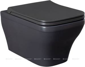 Чаша подвесного унитаза Allen Brau Infinity 4.21011.AN антрацит, без сиденья
