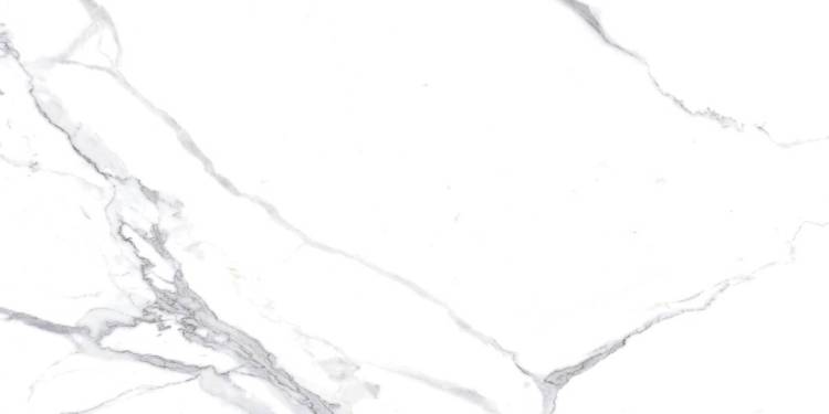 Керамогранит Ceradim Calacatta Splendid Silver белый матовый 60х120
